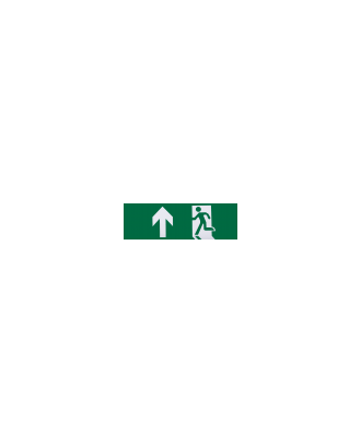 Adhesivo Salida De Emergencia Adelante 6,5x20 Cm
