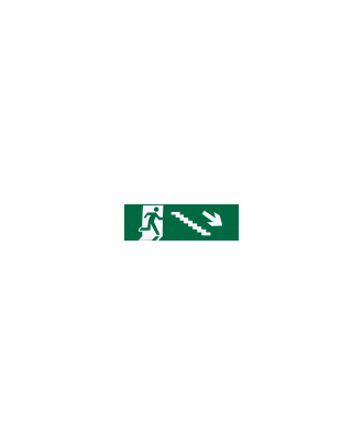 Adhesivo Salida Emergencia Escalera Derecha   Bajada 6,5x20x0,01 Cm